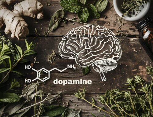 Dopamine Naturally: Effective Herbs